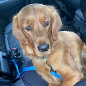 Meet your Posher, Linden